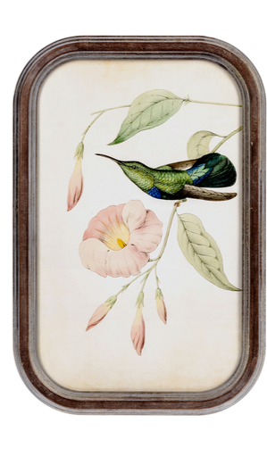 Art - Framed Hummingbird Panel with Glass  (1 in stock)