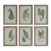 Medium fern frond art   Priced per each style. (4 in stock)