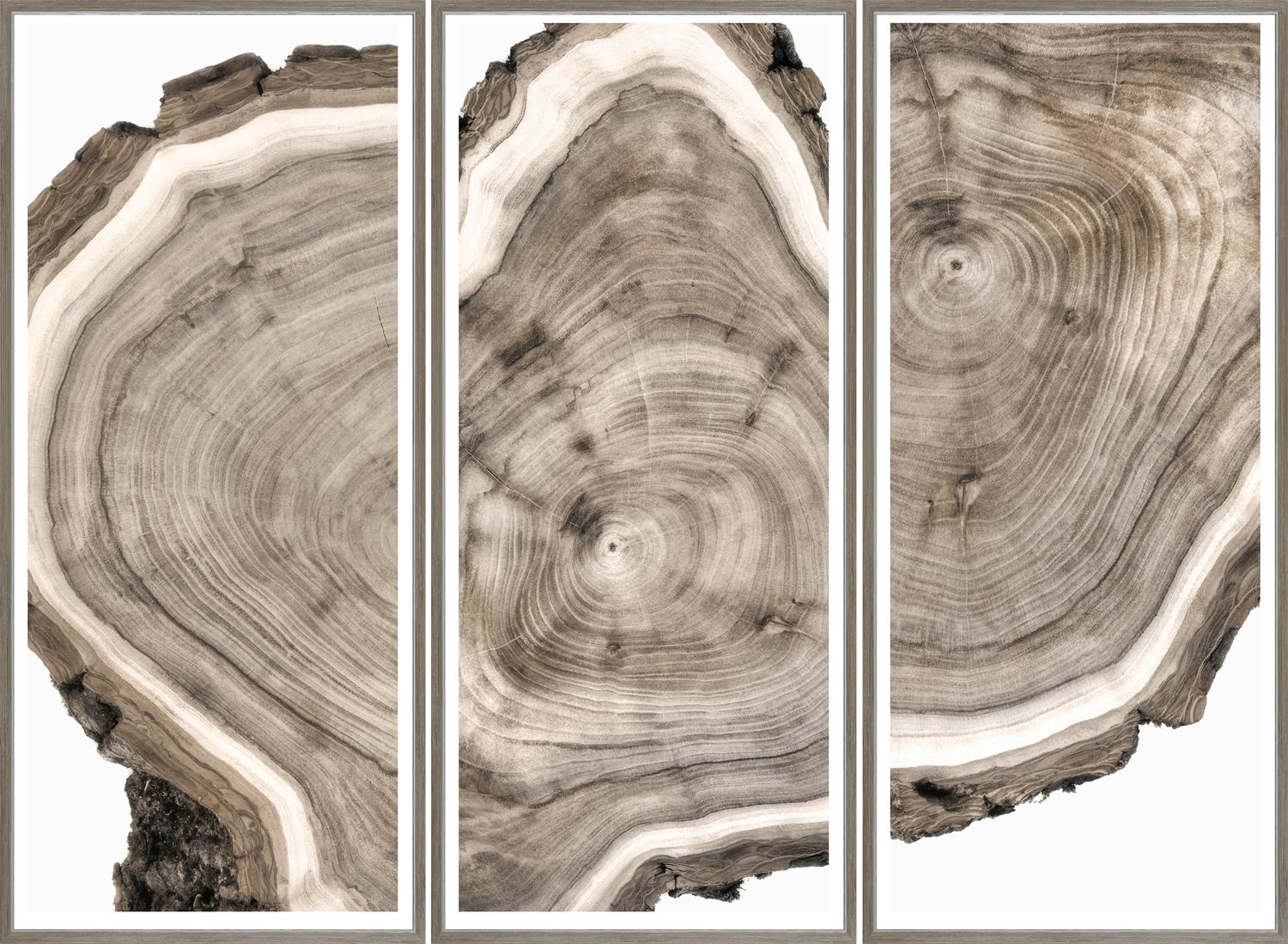 Art - Live Edge Triptych framed with glass (1 in stock)