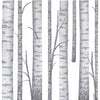 Birch Trees Dinner Size Luxury Paper Napkins ( 6 in stock)