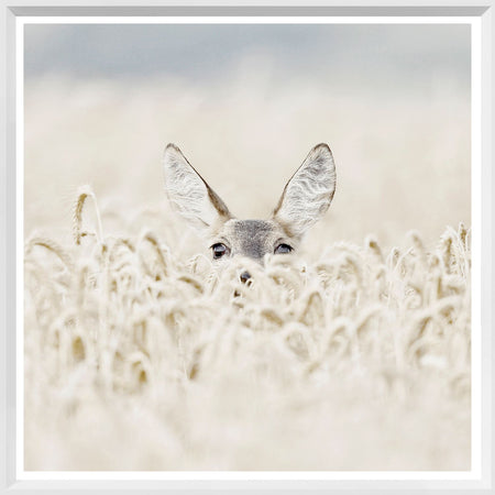 Art - Peekaboo Deer Mini White