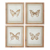 Butterfly Art Framed with Glass   4 styles
