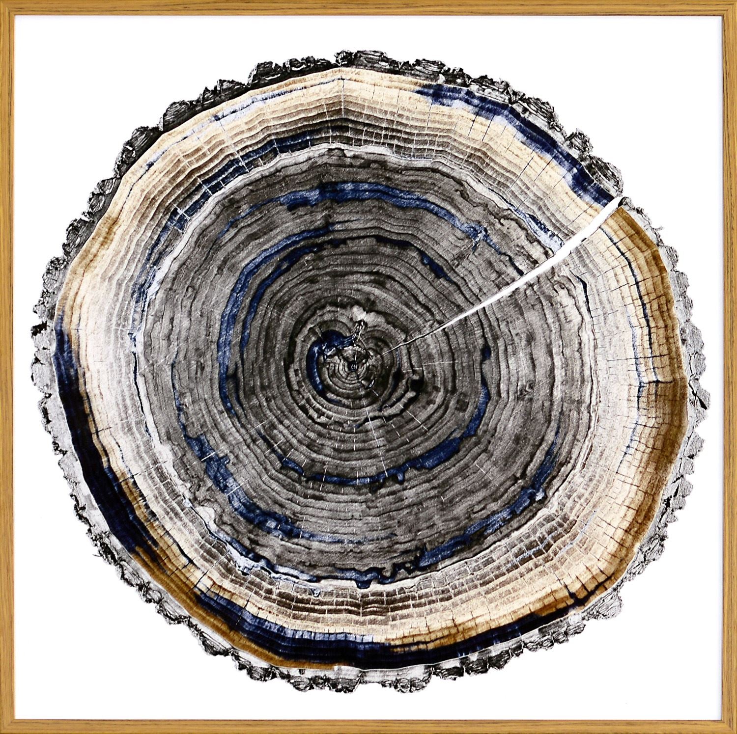 Slice of Indigo 11 White Framed Art (1 in stock)