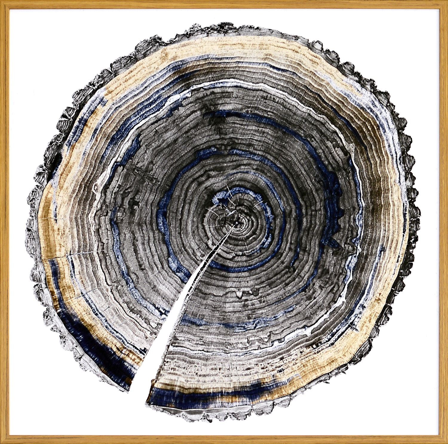 Slice of Indigo 1 White Framed Art