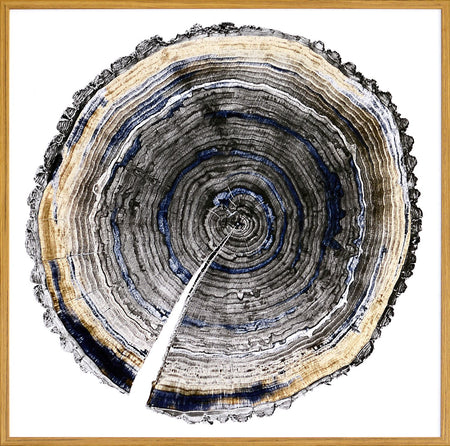 Slice of Indigo 1 White Framed Art