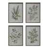 Sonoma Botanical Prints 4 styles Art (1 in stock) Priced per each style.