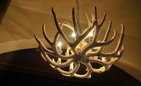 Real Antler Chandelier Sunbleached (1 in stock)