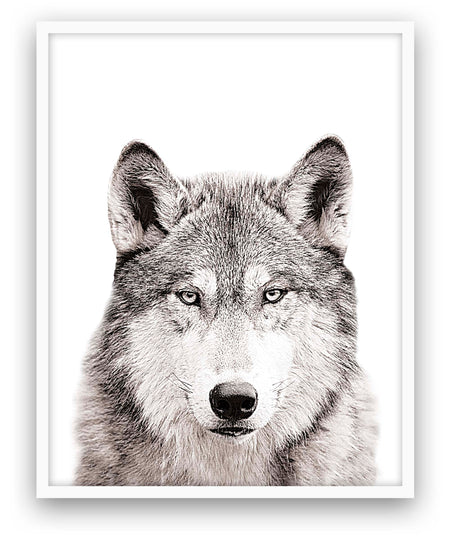 Wolf - Close Encounters Collection framed with glass 19" x 23" (1 in stock)