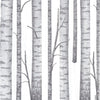 Wood Grey Dinner Size Paper Napkins ( 6 in stock)